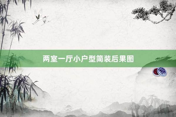 两室一厅小户型简装后果图