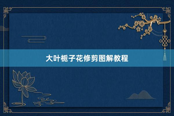 大叶栀子花修剪图解教程