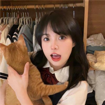 维京人埃里克