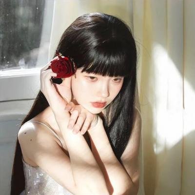 红野菊